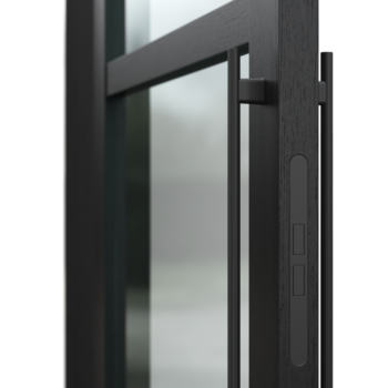 black Interior doors Nature LUMIA close up