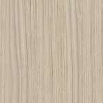 Dub Salvador Svetlý